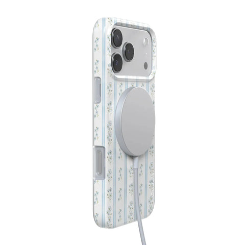Cottage Stripe | Blue Floral Case