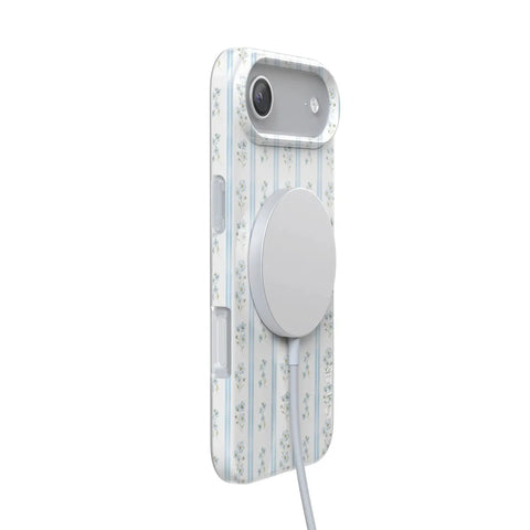Cottage Stripe | Blue Floral Case