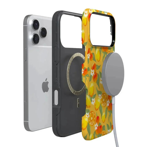 Positano | Dippin' Daisy's Italian Coast Case