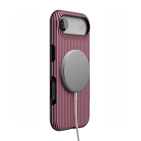 Stripes and the City | Tiny Pinstripe Case