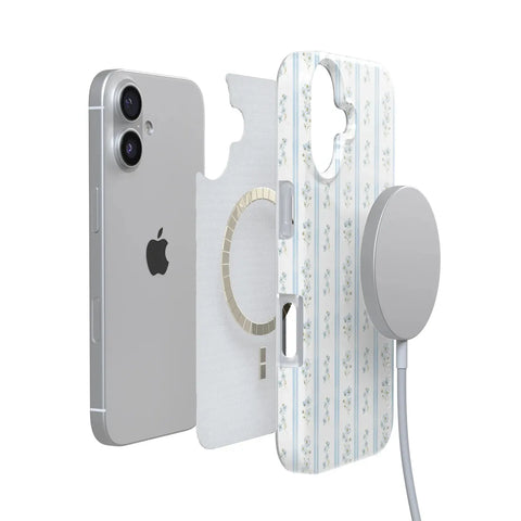 Cottage Stripe | Blue Floral Case