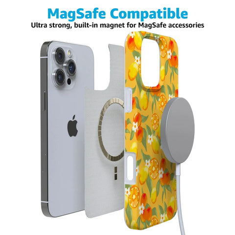 Positano | Dippin' Daisy's Italian Coast Case