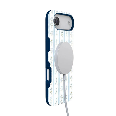 Cottage Stripe | Blue Floral Case