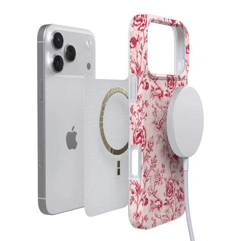 Vintage Belle | Floral Toile Case