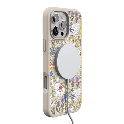 Storybook Stroll | Spring Garden Case