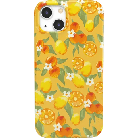 Positano | Dippin' Daisy's Italian Coast Case