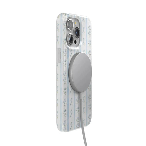 Cottage Stripe | Blue Floral Case