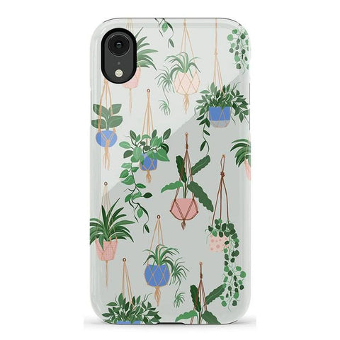 Hanging Around | Potted Plants Floral Case