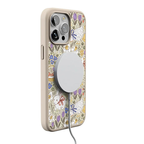 Storybook Stroll | Spring Garden Case
